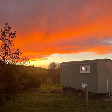 The Buteland Stop Rosie Off Grid Shepherds Hut Bellingham Exterior photo