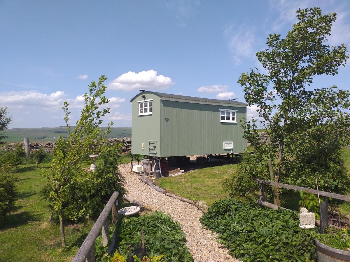The Buteland Stop Rosie Off Grid Shepherds Hut Bellingham Exterior photo