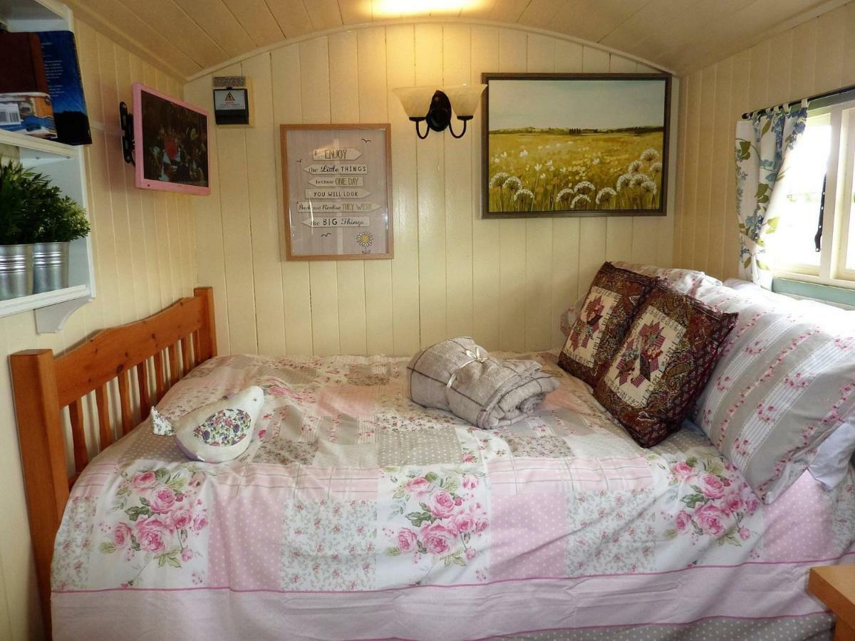 The Buteland Stop Rosie Off Grid Shepherds Hut Bellingham Exterior photo