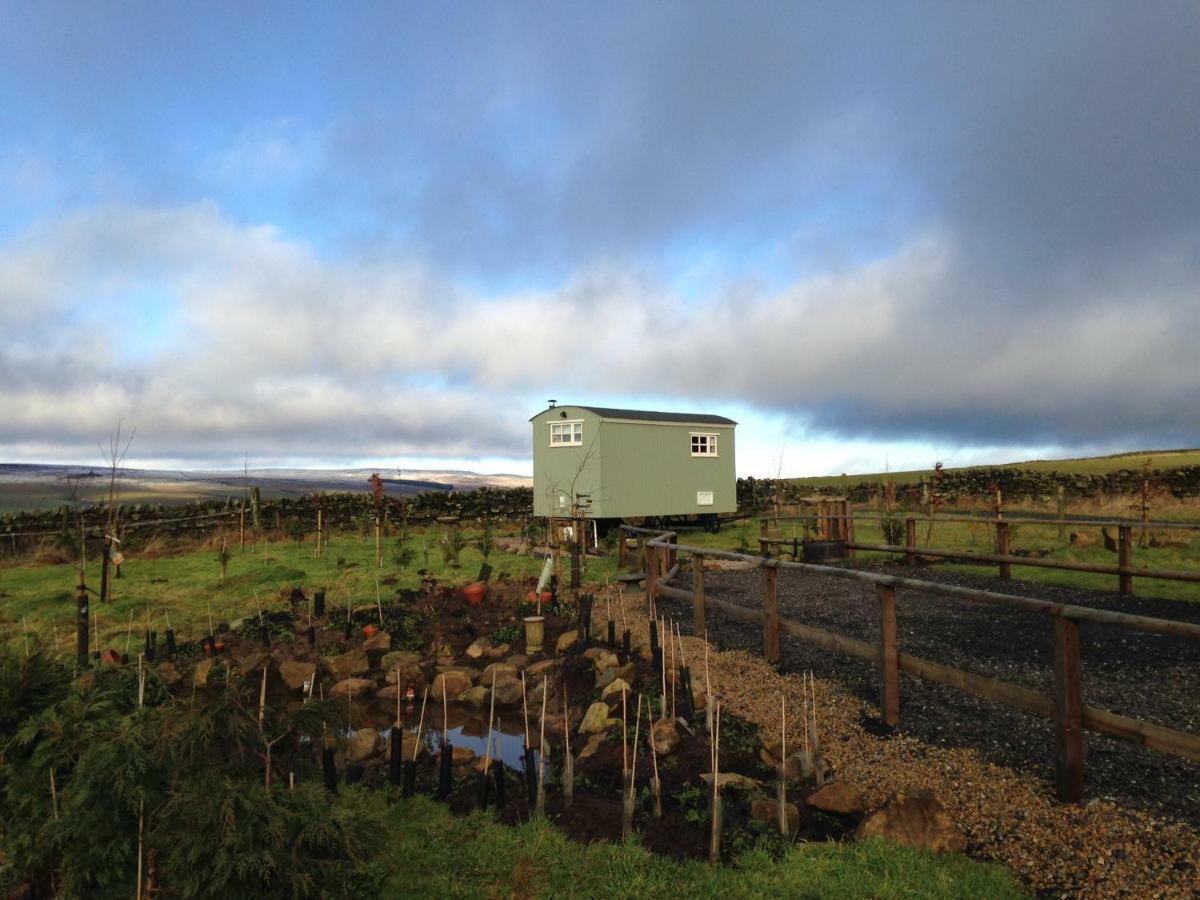 The Buteland Stop Rosie Off Grid Shepherds Hut Bellingham Exterior photo
