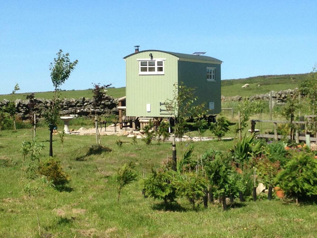 The Buteland Stop Rosie Off Grid Shepherds Hut Bellingham Exterior photo